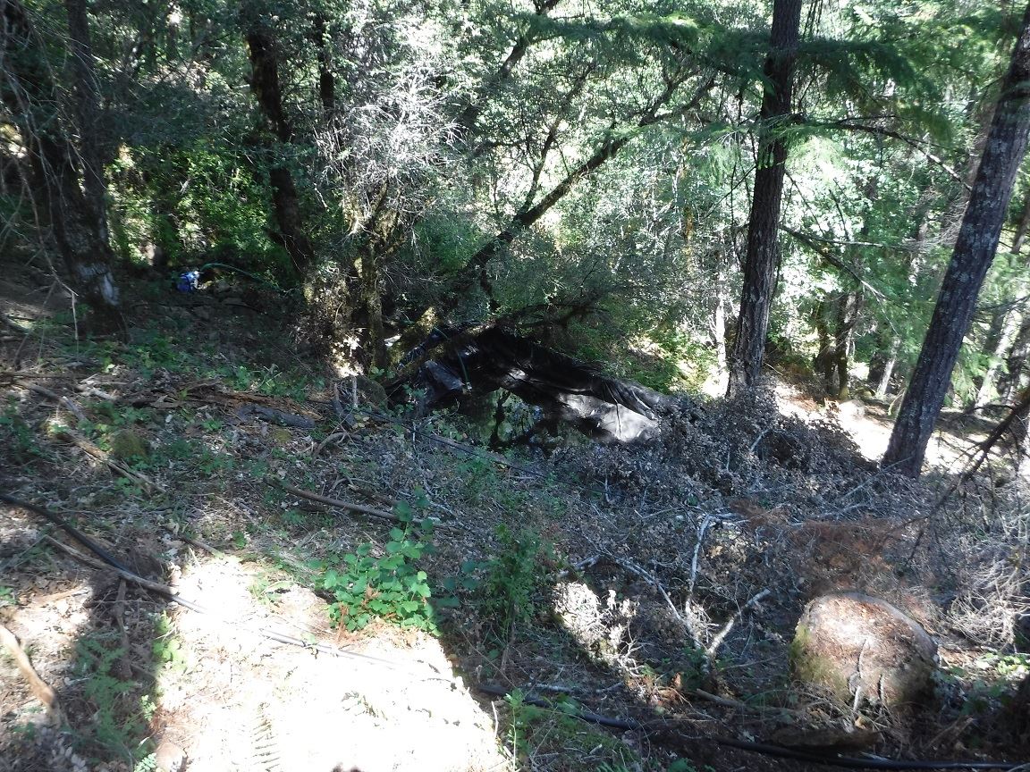 Search Warrant - Case 201603973